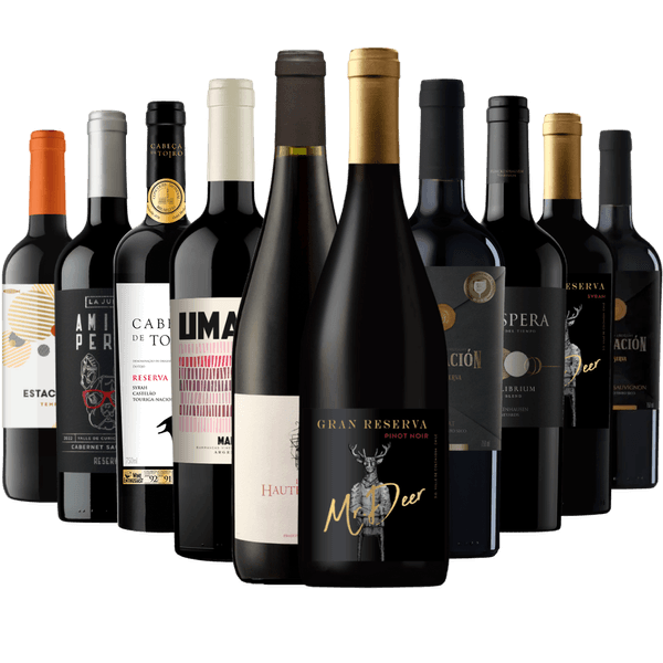 Kit 10 Vinhos Tintos Premium